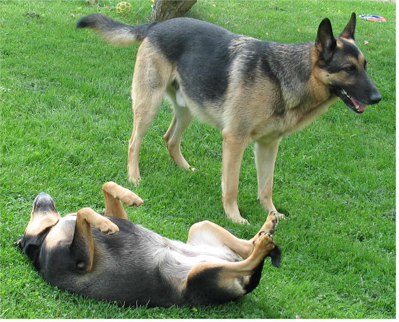 Organizing Family Activities (image credits: wikimedia)