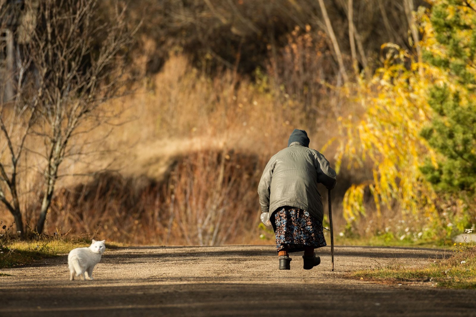 7. Following You Around Like a Shadow (image credits: wikimedia)
