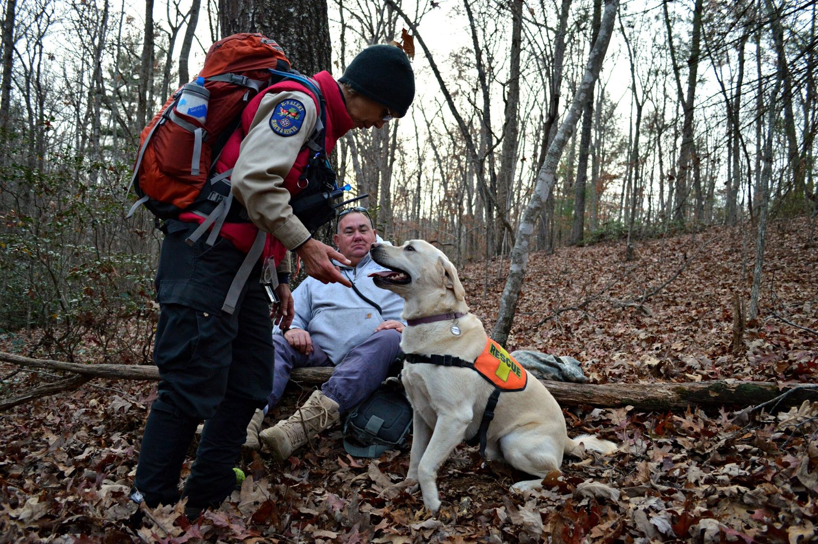 10 Dog Behaviors That Emerge in Safe and Secure Homes