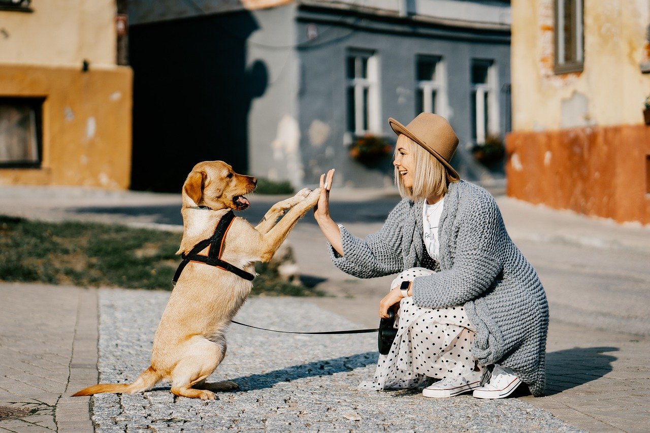 7. Taking Time to Play Together (image credits: pixabay)