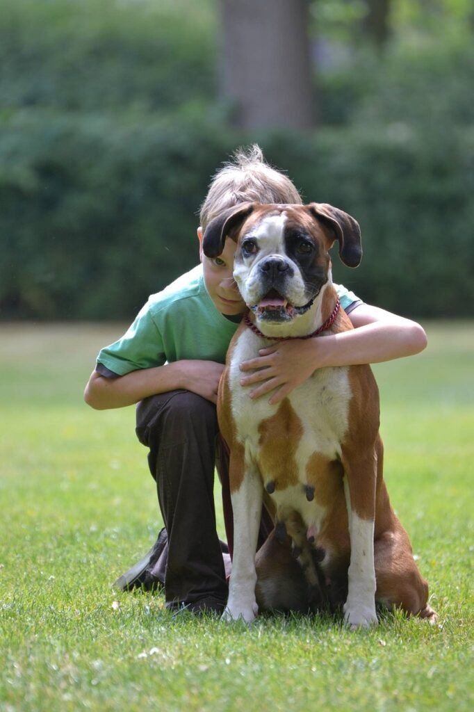 Boxers and Children: Natural Playmates