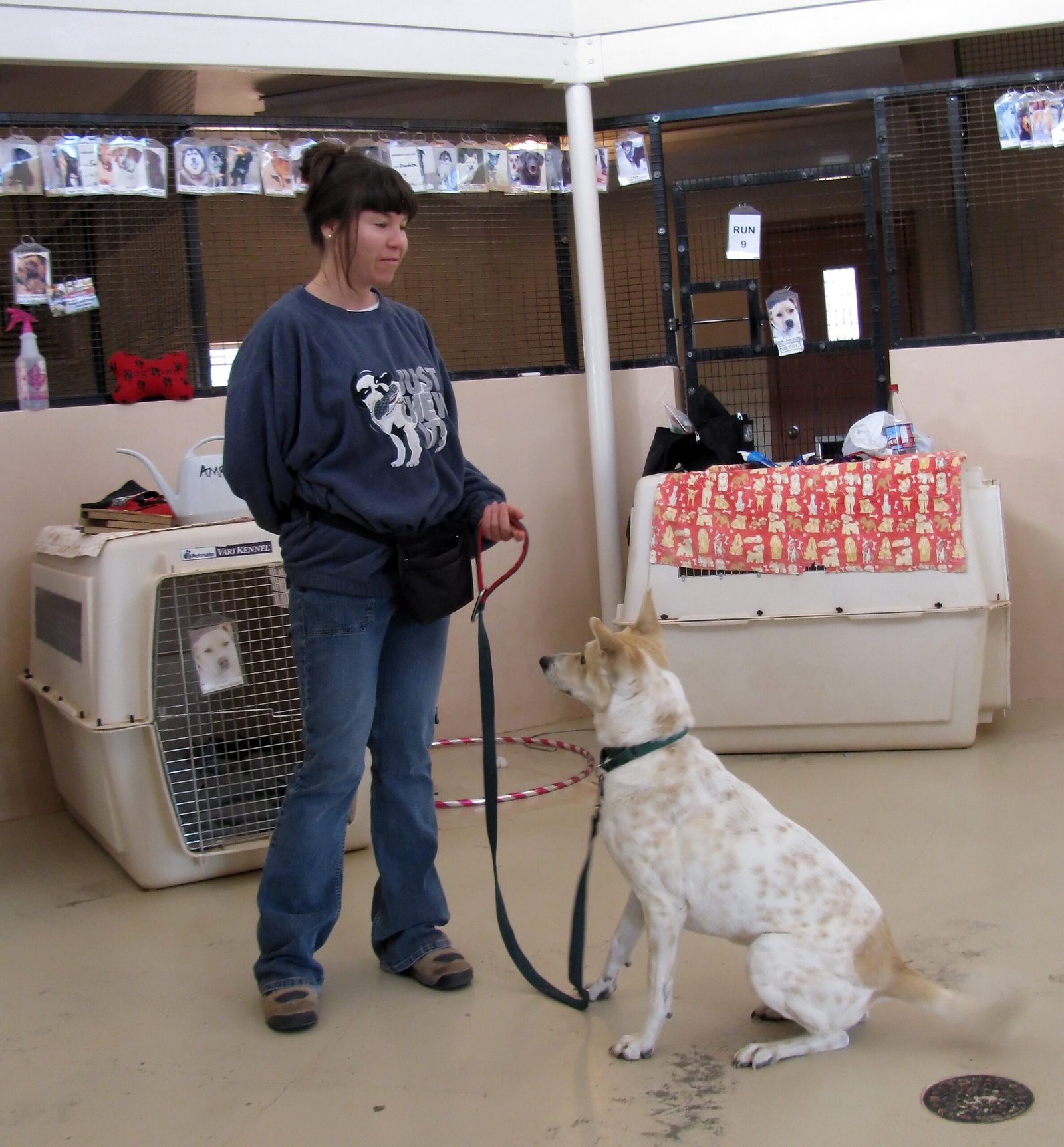 8. Training Sessions: Learning Can Be Exercise (image credits: wikimedia)