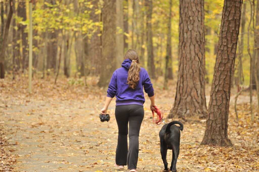 Daily Walks Turn Into Meaningful Rituals