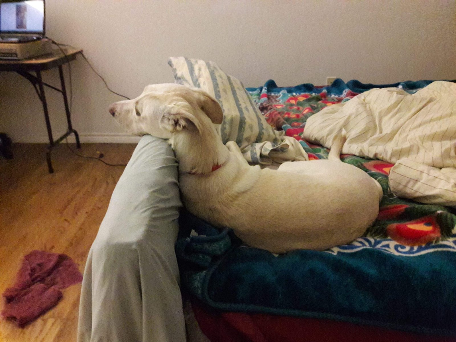 How to Make Co-Sleeping Work for Everyone (image credits: wikimedia)