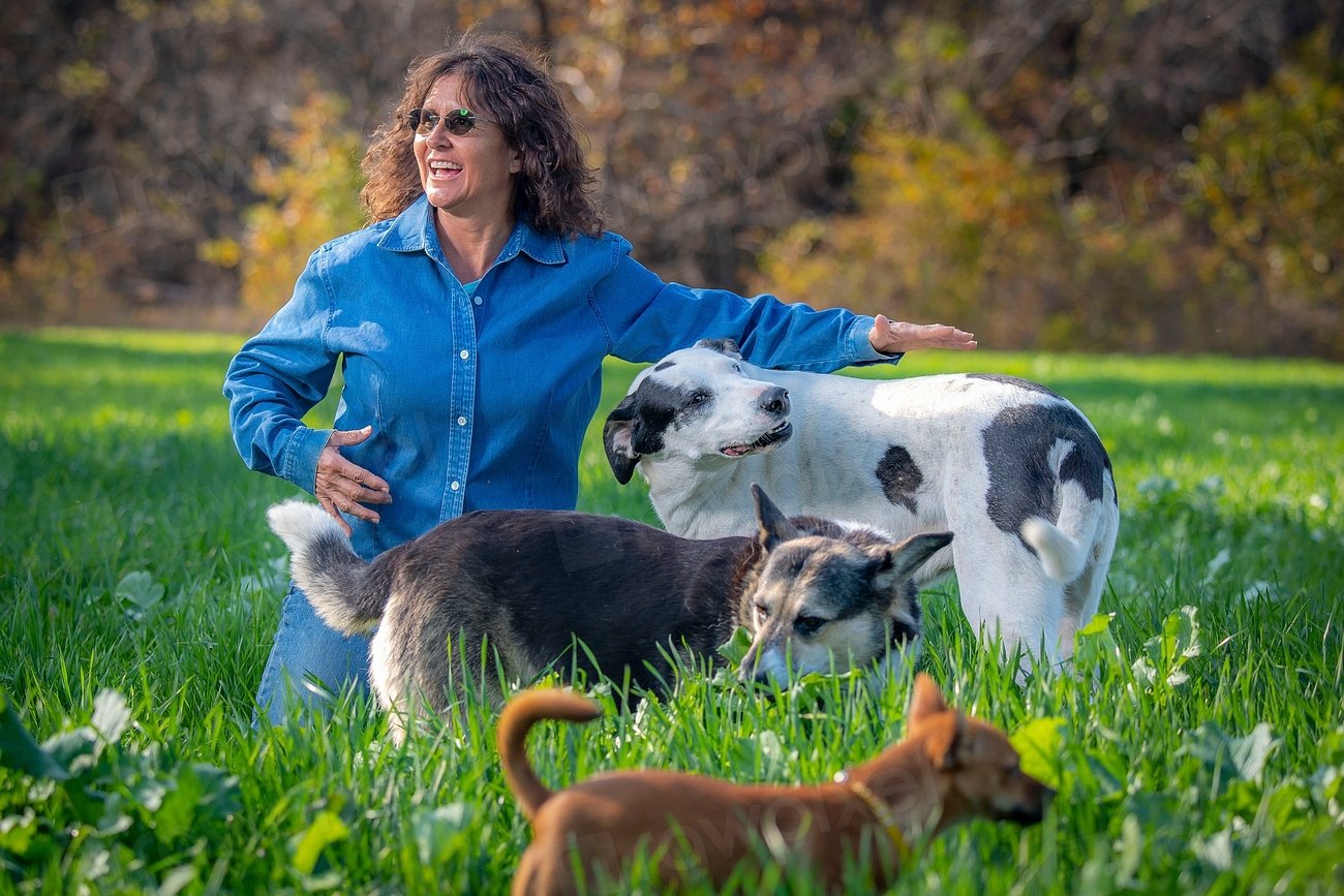 Stories from Oregon’s Dog Owners (image credits: rawpixel)