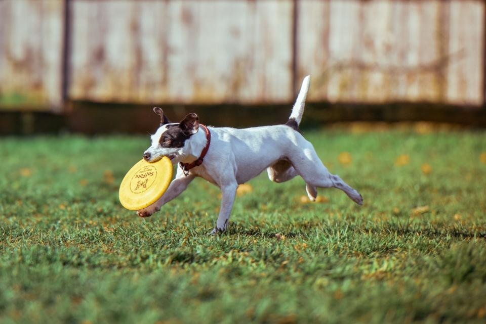 9. Creative Play and Inventing Games (image credits: stocksnap)