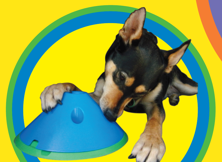 11. Solving Puzzles and Interactive Toys (image credits: wikimedia)