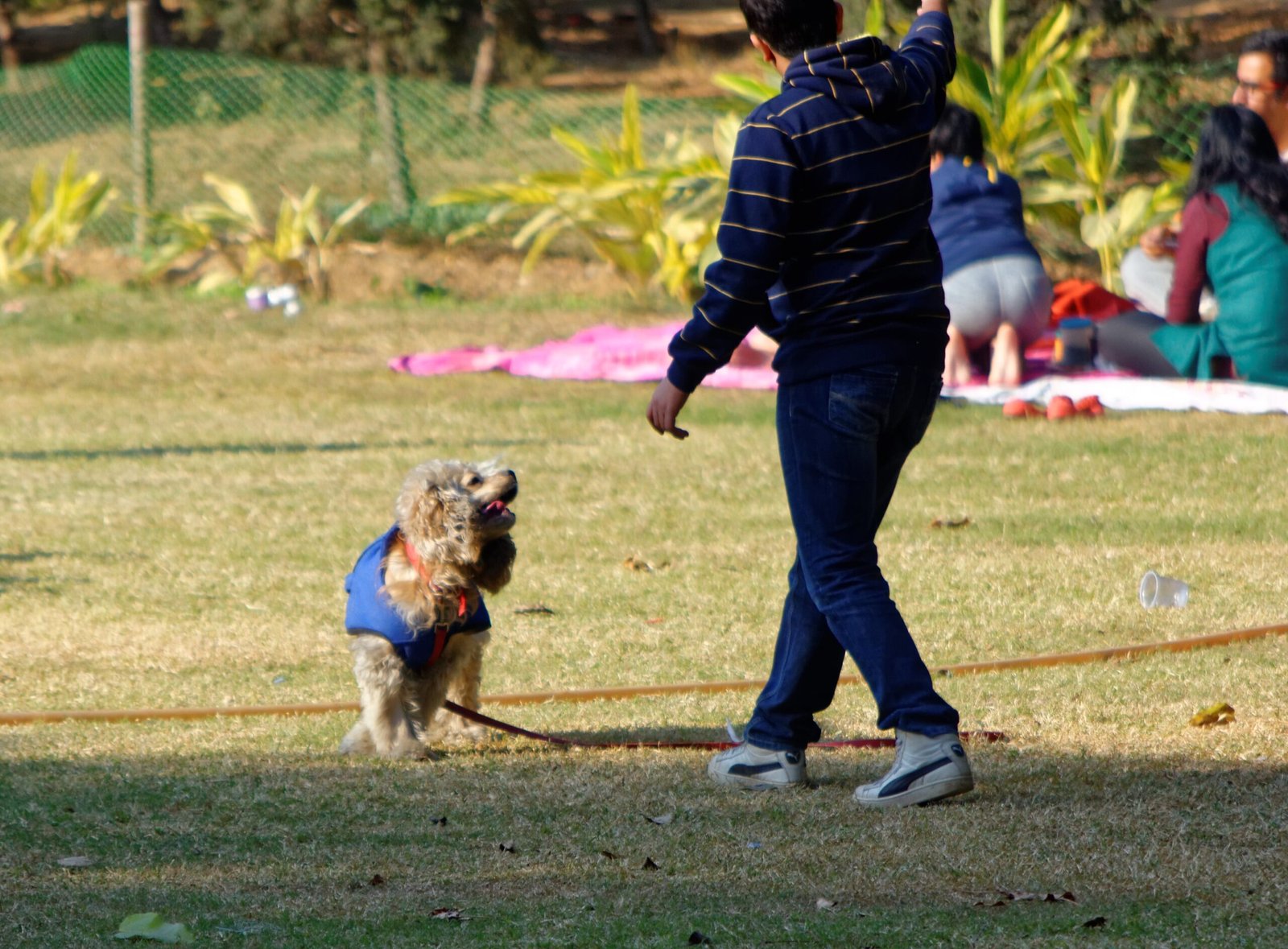 Matching Your Pace: Active Days and Lazy Afternoons (image credits: wikimedia)