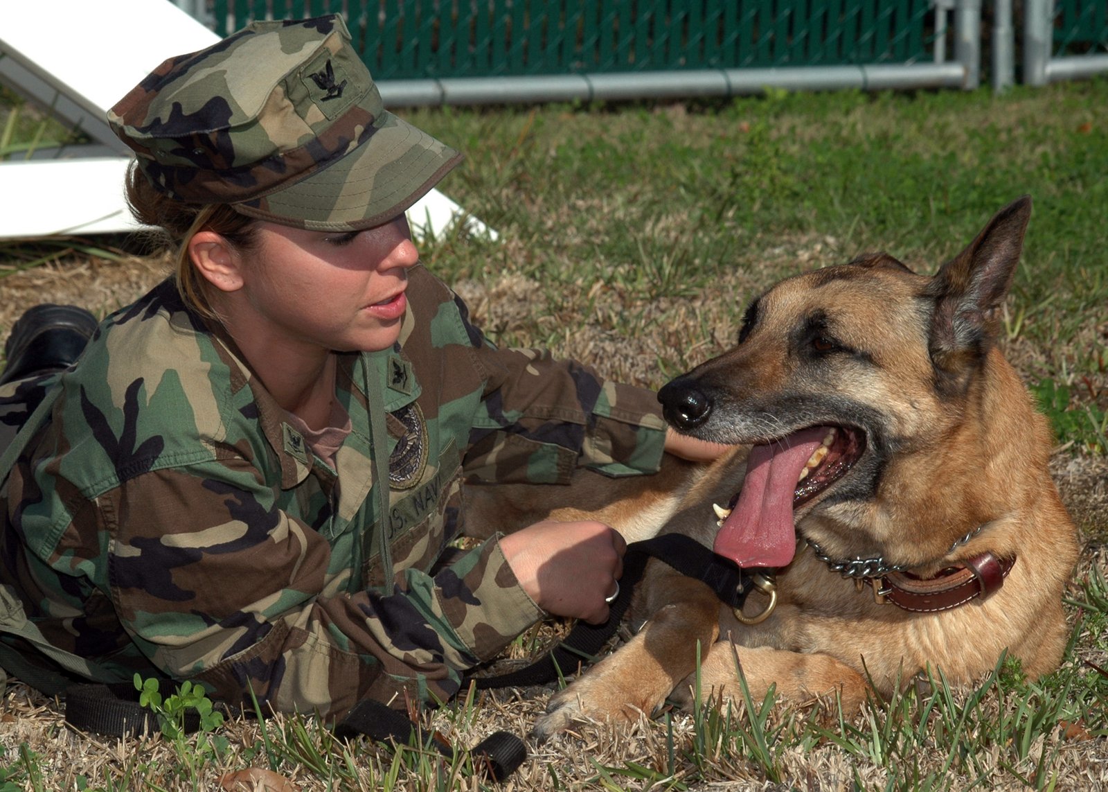 The Power of Positive Reinforcement (image credits: wikimedia)