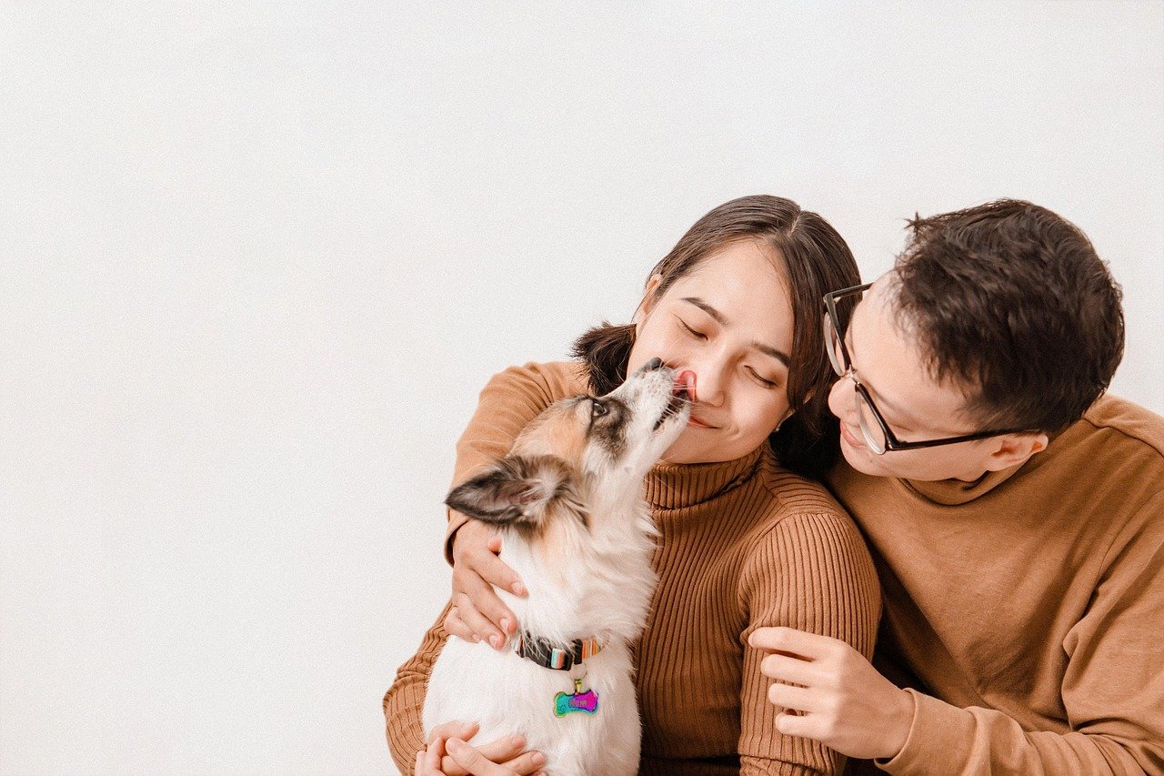 Licking: A Gentle Kiss (image credits: pixabay)