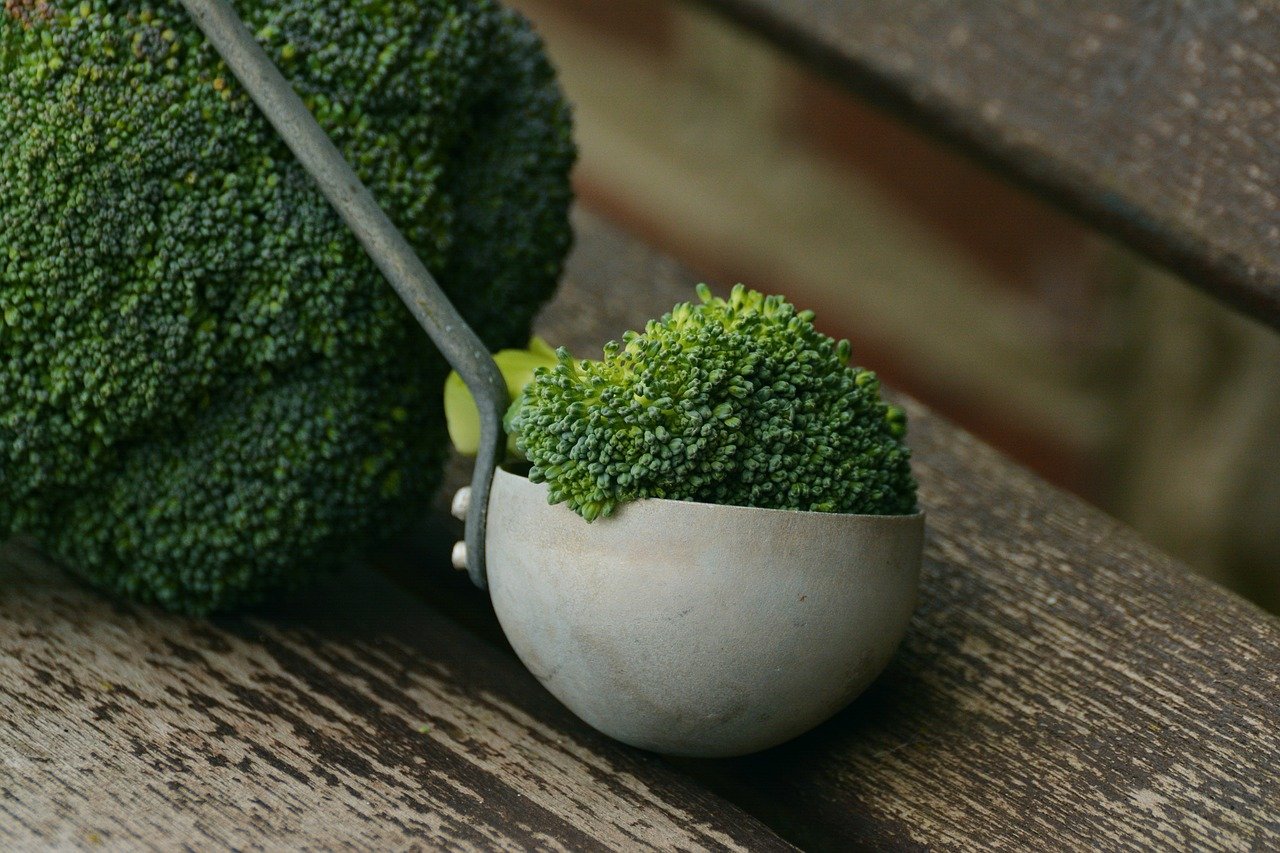 Broccoli: Little Trees of Immunity (image credits: pixabay)