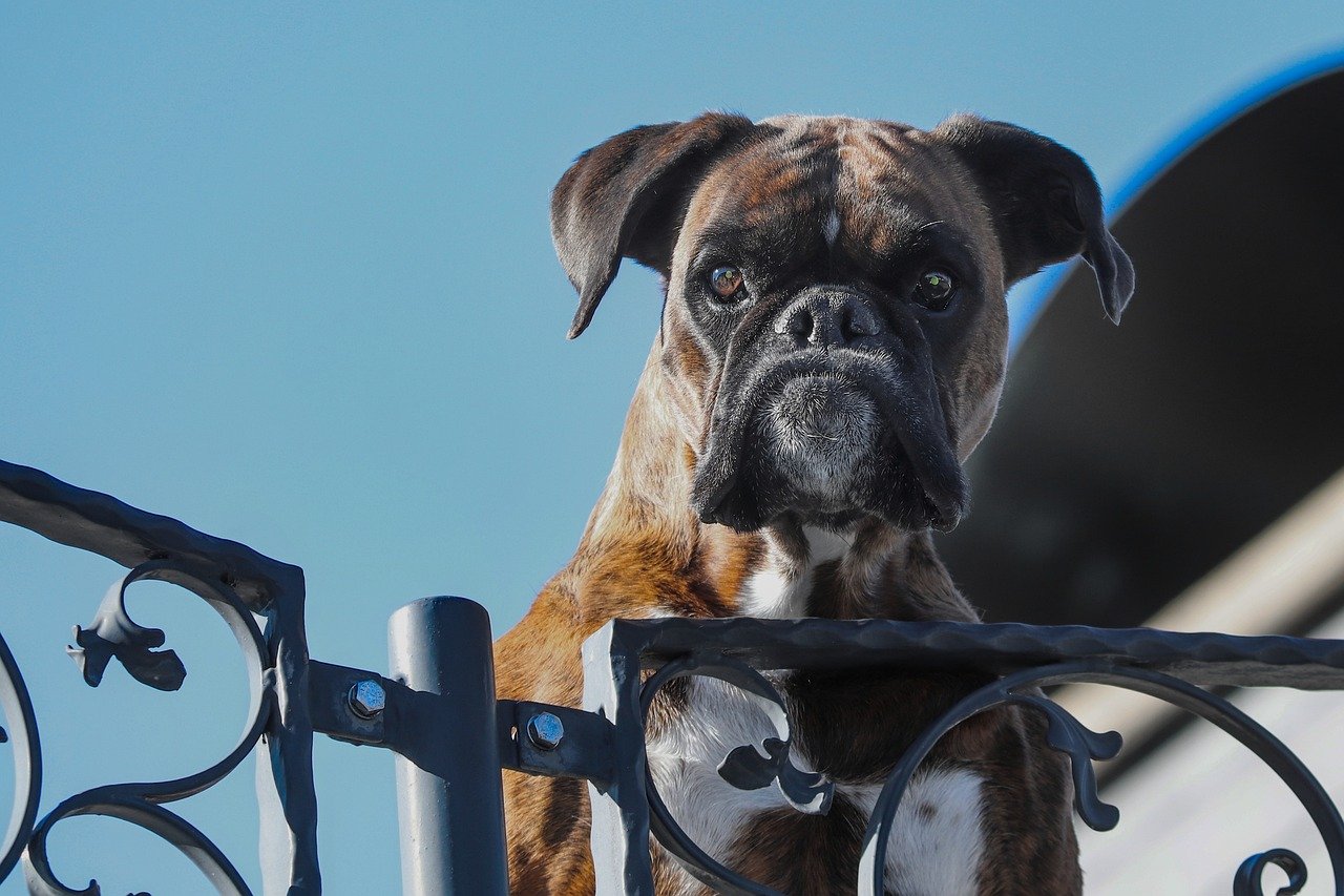 Becoming Protective of Personal Property (image credits: pixabay)