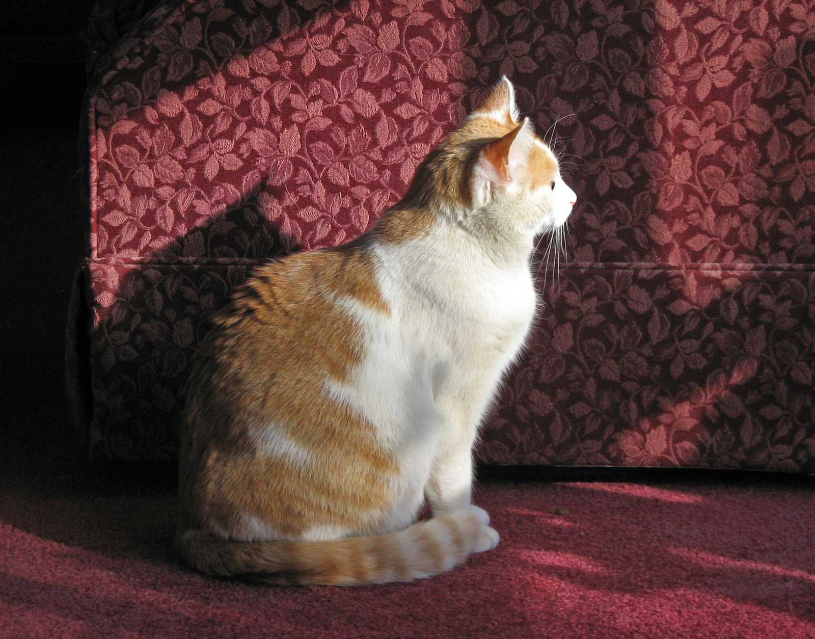 Ignoring You&mdash;Until They Want Something (image credits: wikimedia)