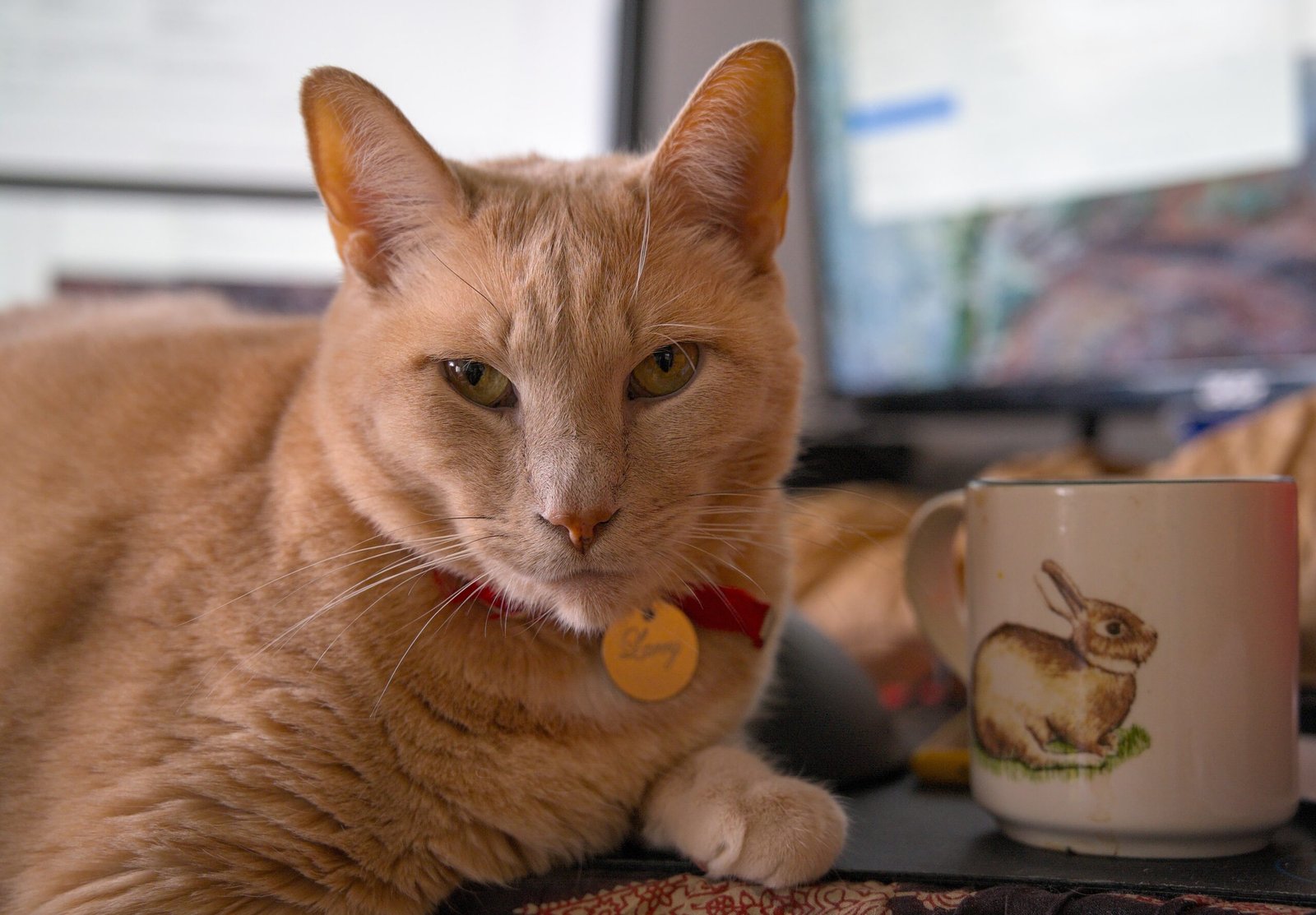 Interrupting Your Work or Hobbies (image credits: wikimedia)