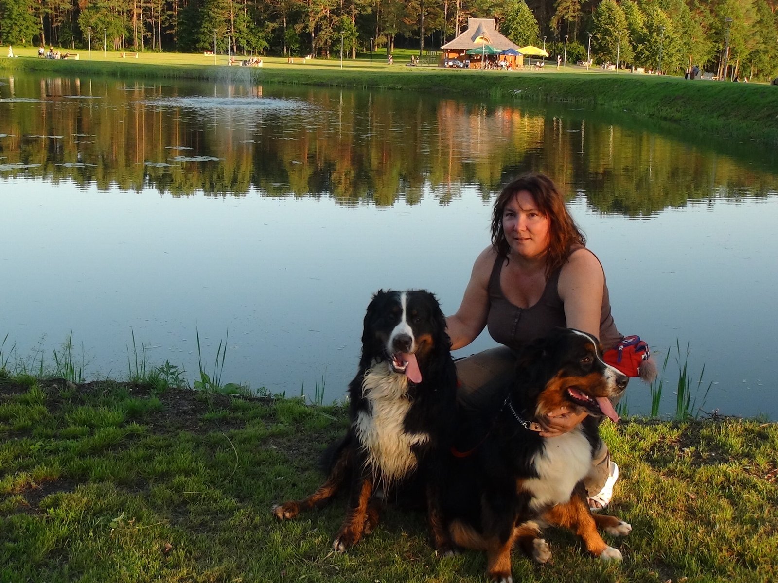Socialization: Building a Confident Canine (image credits: wikimedia)