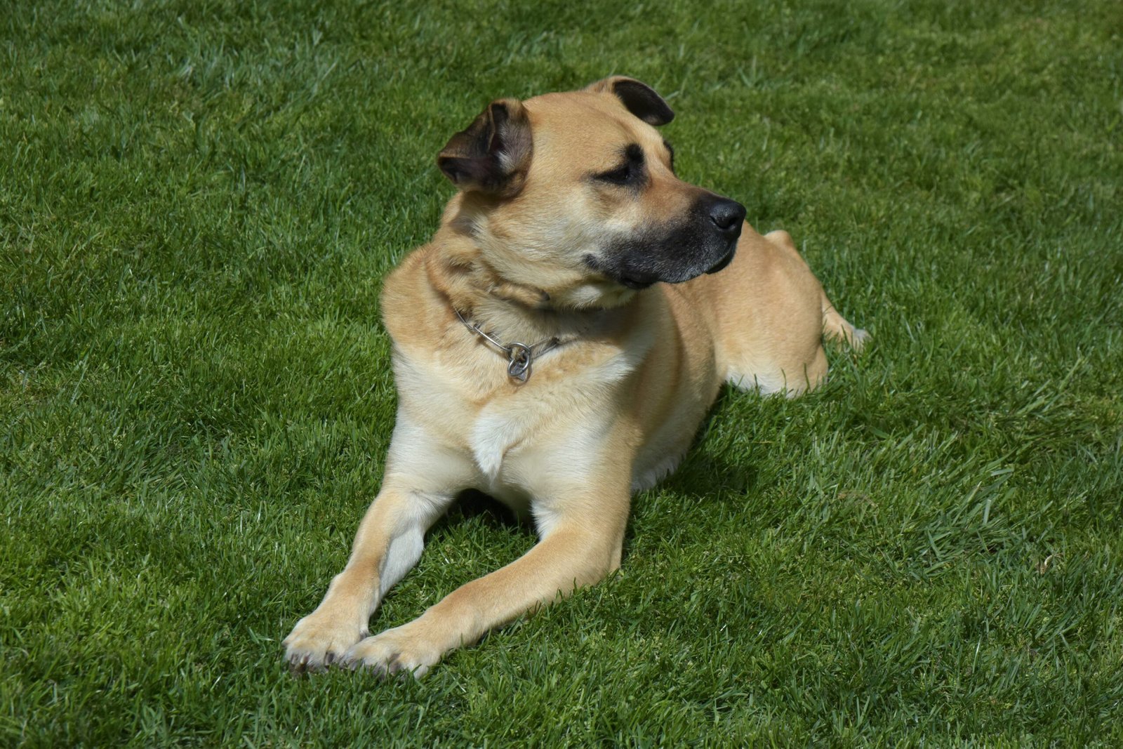 Giving Space When Needed (image credits: wikimedia)