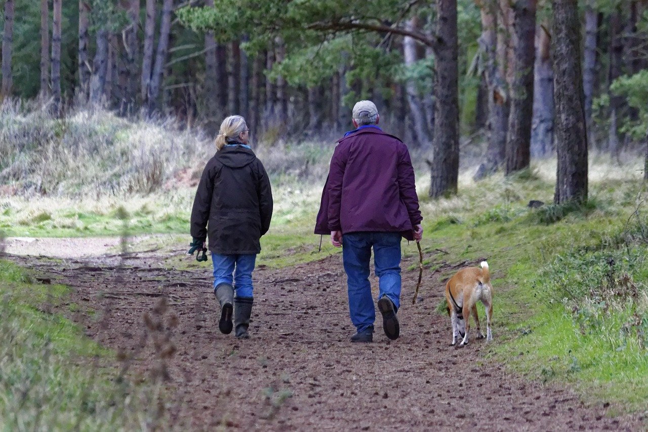 Encouraging Gentle Exercise and Activity (image credits: pixabay)