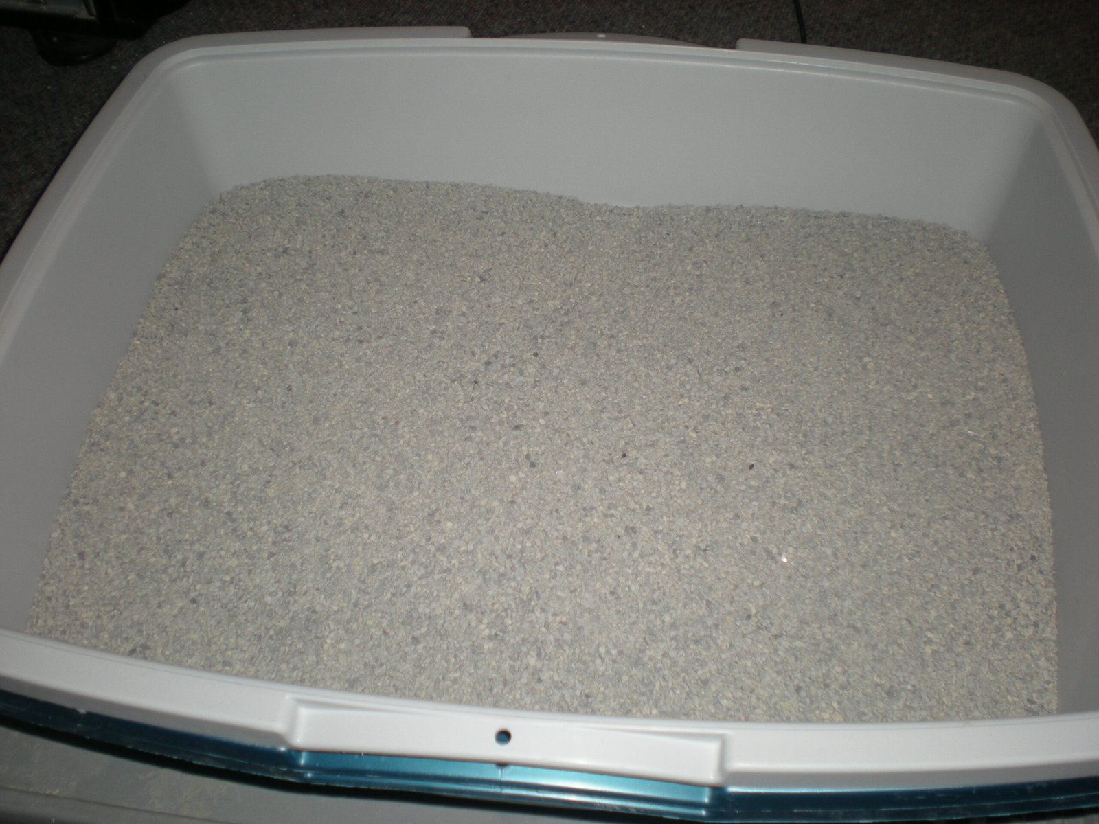 Litter Box Cleanliness: A Matter of Pride (image credits: wikimedia)
