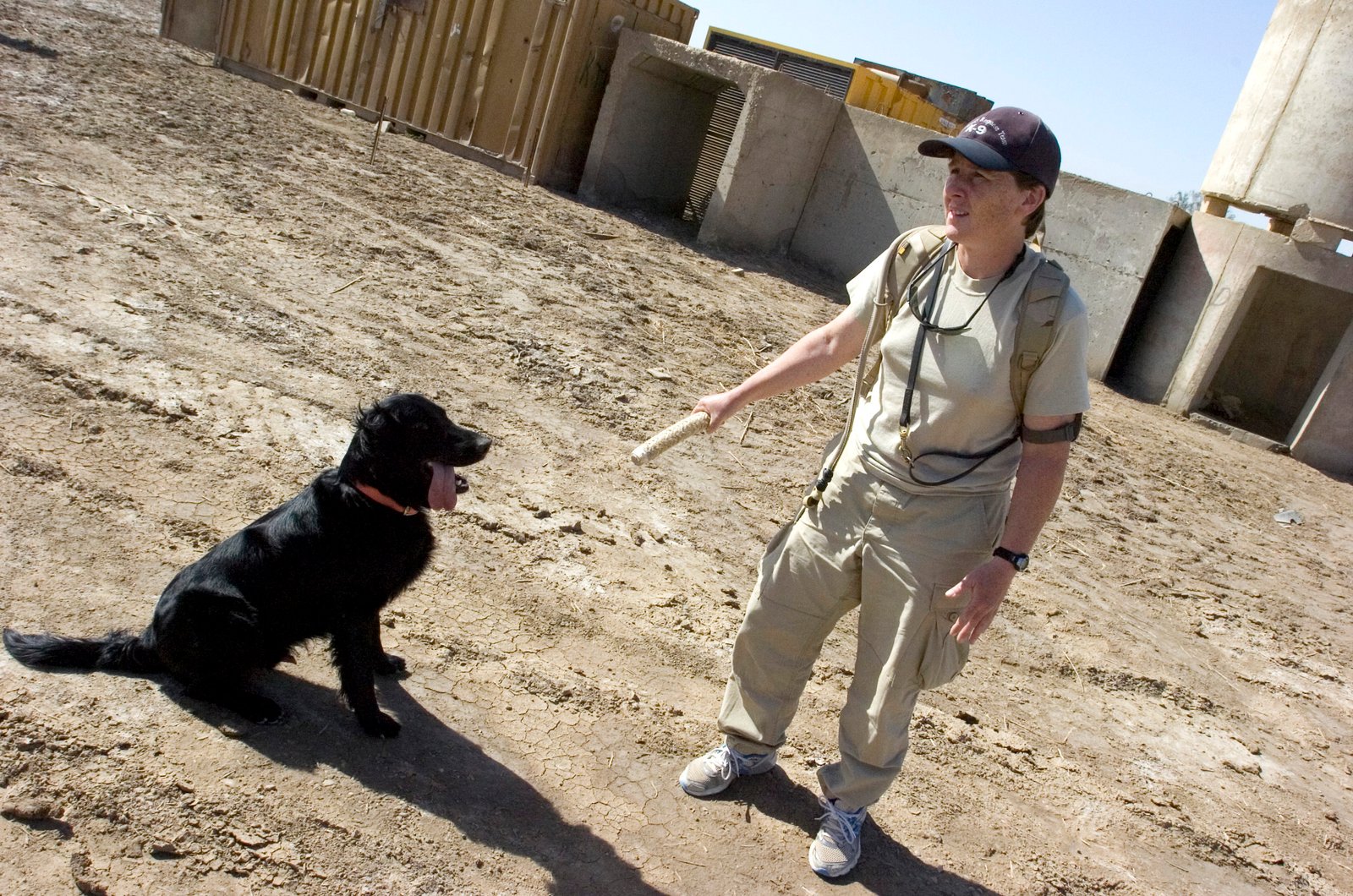 8. Seek Professional Help When Needed (image credits: wikimedia)