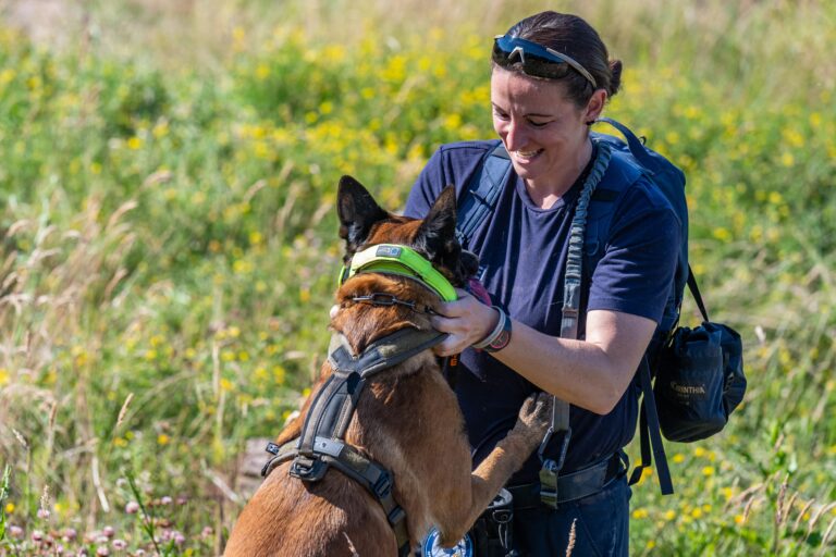 15 Things Worth Trying If Your Dog's Behavior is Too Much To Handle