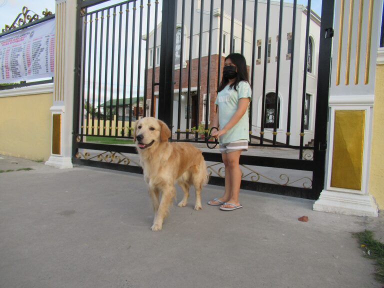 15 Dog Breeds Who Love Straight From The Heart