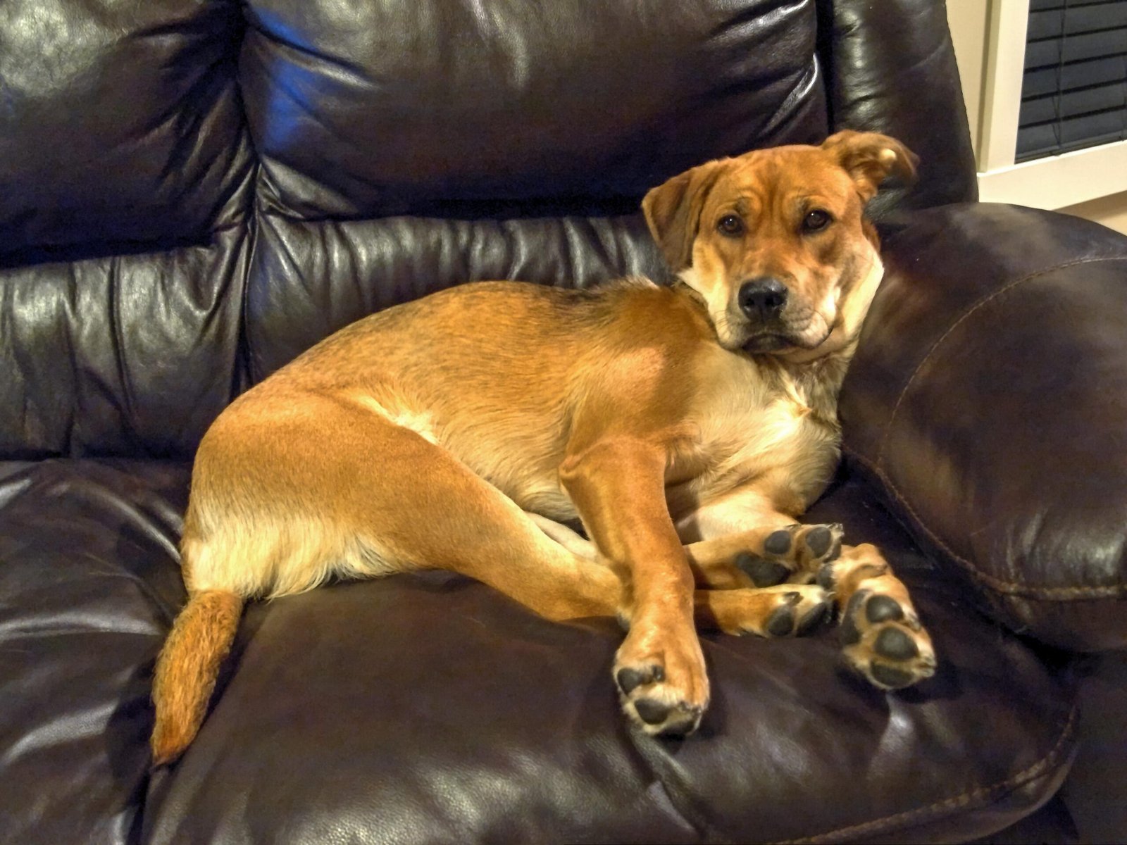 Clinginess or Separation Anxiety (image credits: wikimedia)