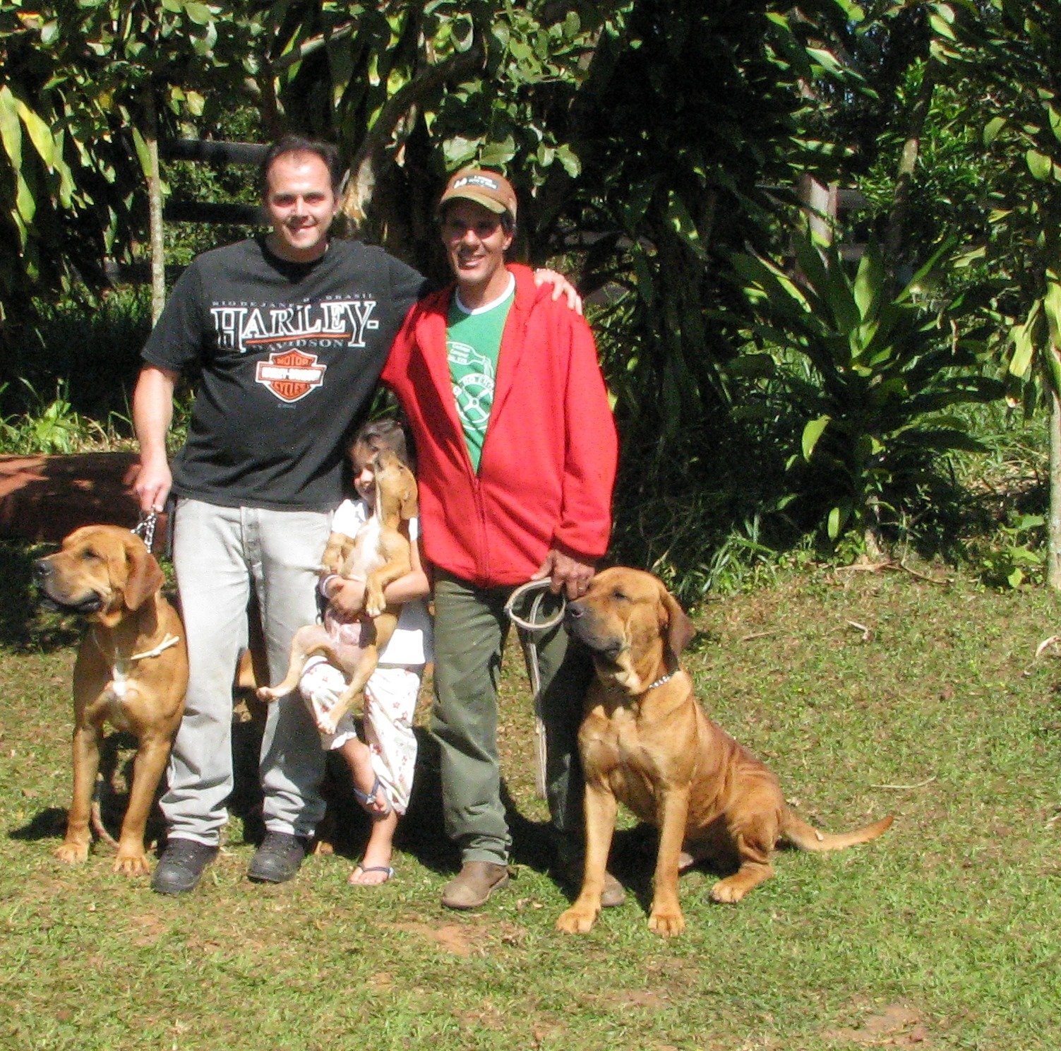 Bullmastiff: The Silent Protector (image credits: wikimedia)