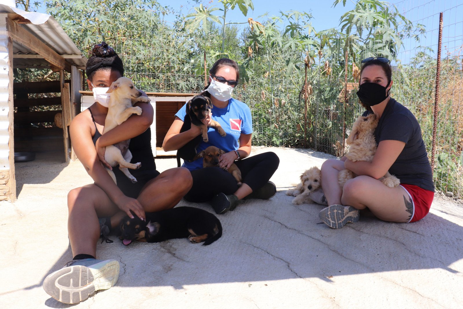 Attend Puppy Socialization Classes (image credits: wikimedia)