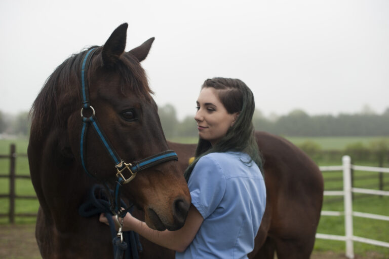 10 Important Things to Know When Caring For A Senior Horse
