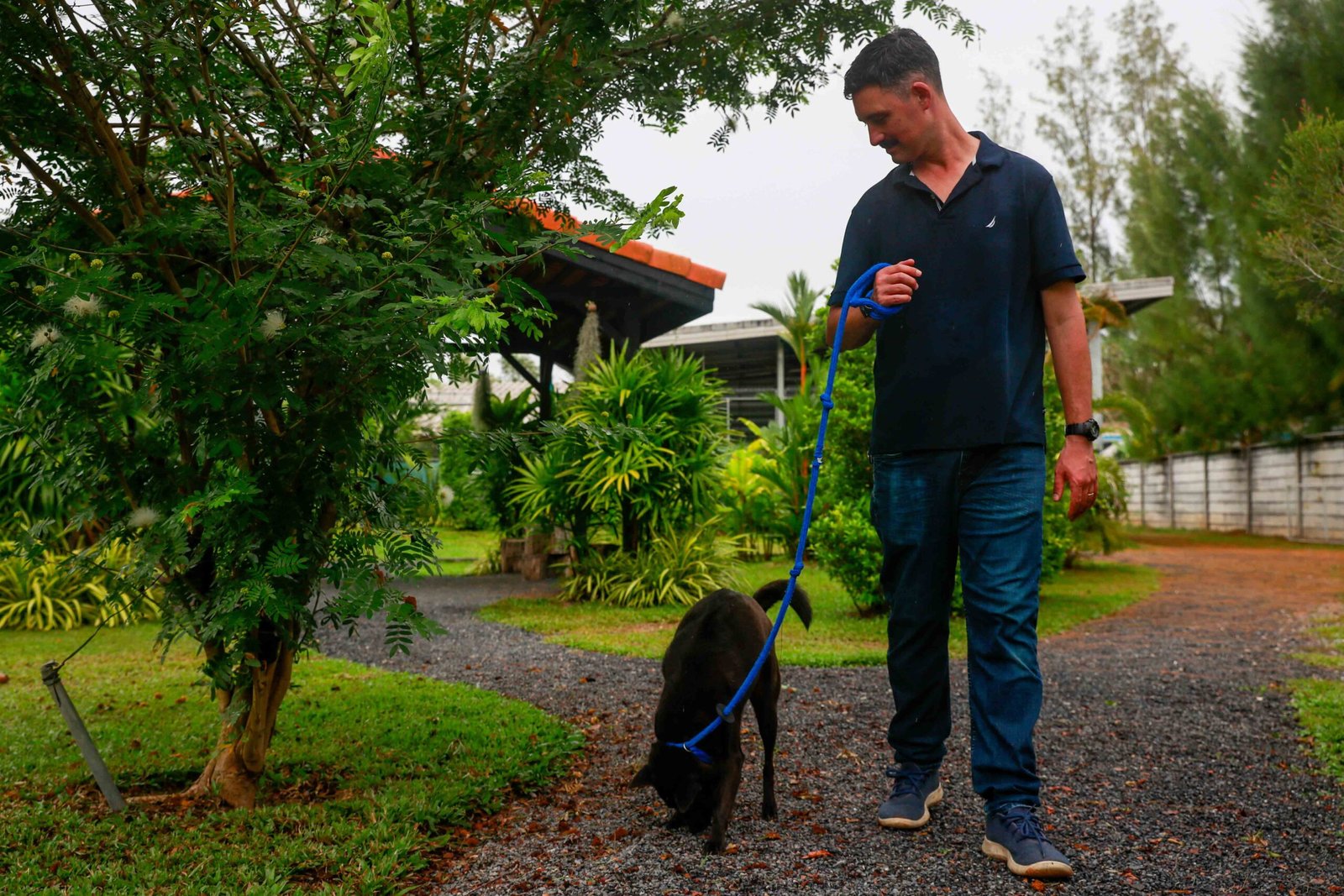 Establish a Consistent Routine (image credits: wikimedia)