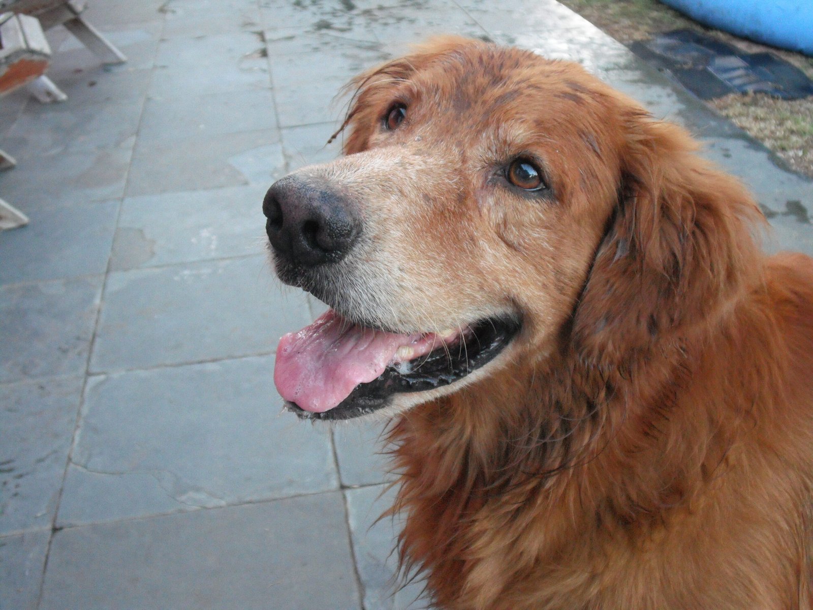 They Want Your Attention (image credits: wikimedia)