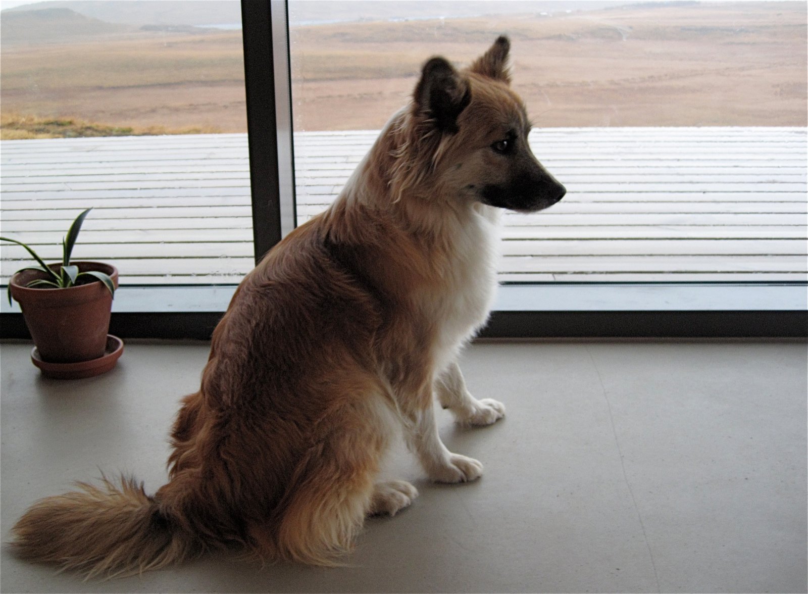 Lack of Motivation or Rewards (image credits: wikimedia)