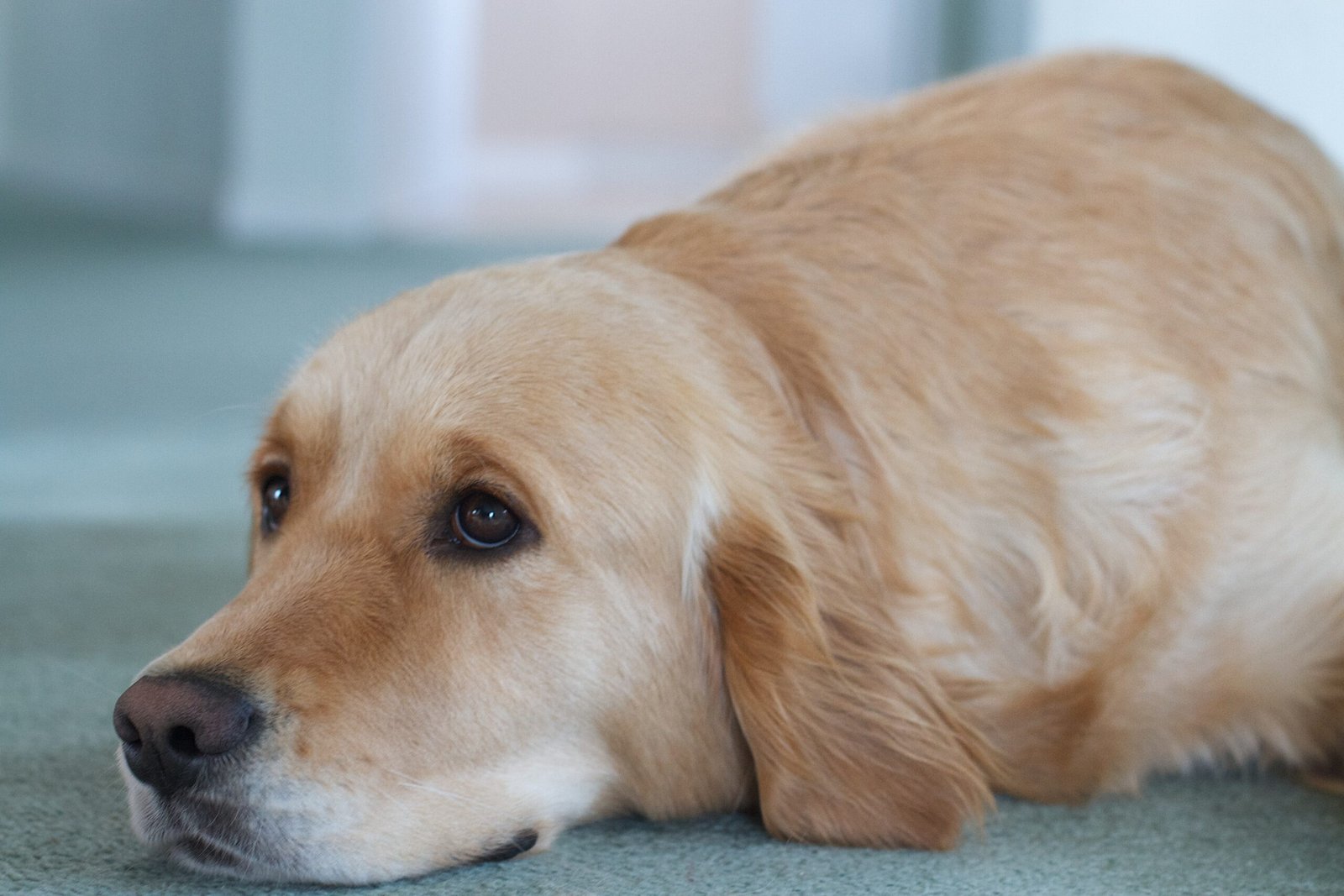 When You Left for Work and Came Back Late (image credits: wikimedia)