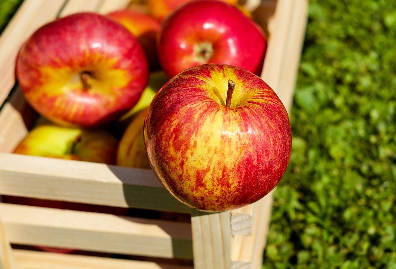 Apples: Sweet and Refreshing (image credits: pixabay)
