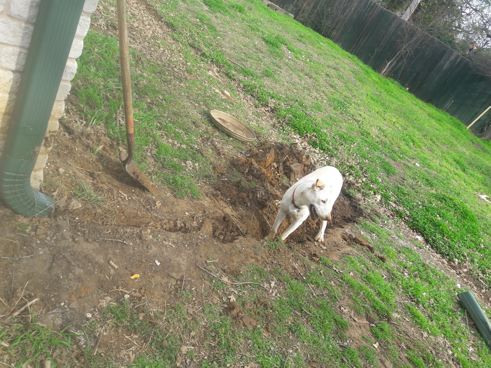 Increase in Destructive Behaviors (image credits: wikimedia)