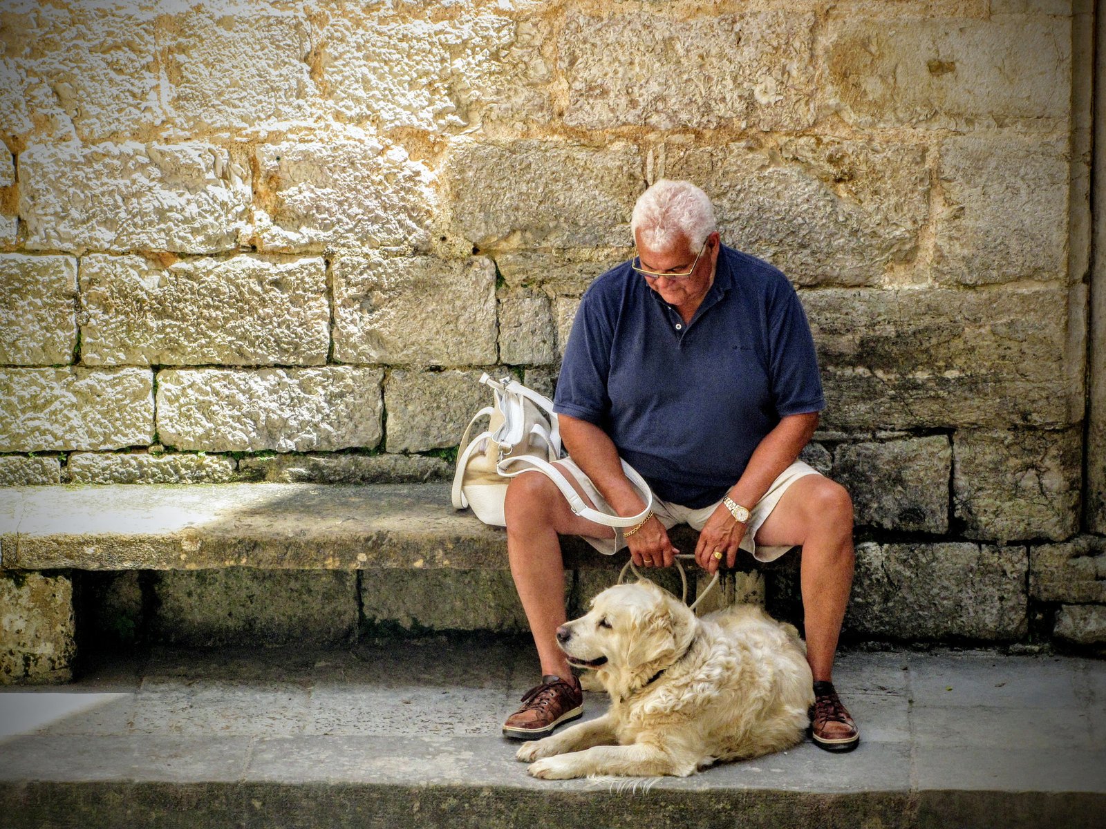 Following You Everywhere: The Ultimate Devotion (image credits: wikimedia)