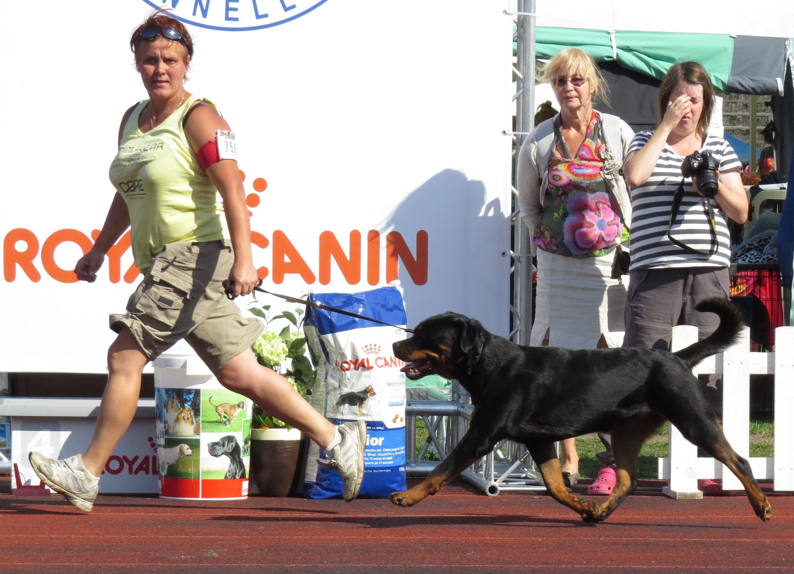 Introduce Socialization with Care (image credits: wikimedia)