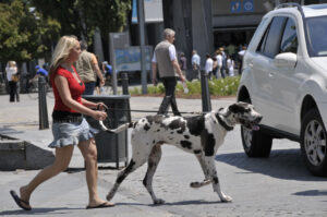 What Happens If You Walk Your Dog the Wrong Way Every Day