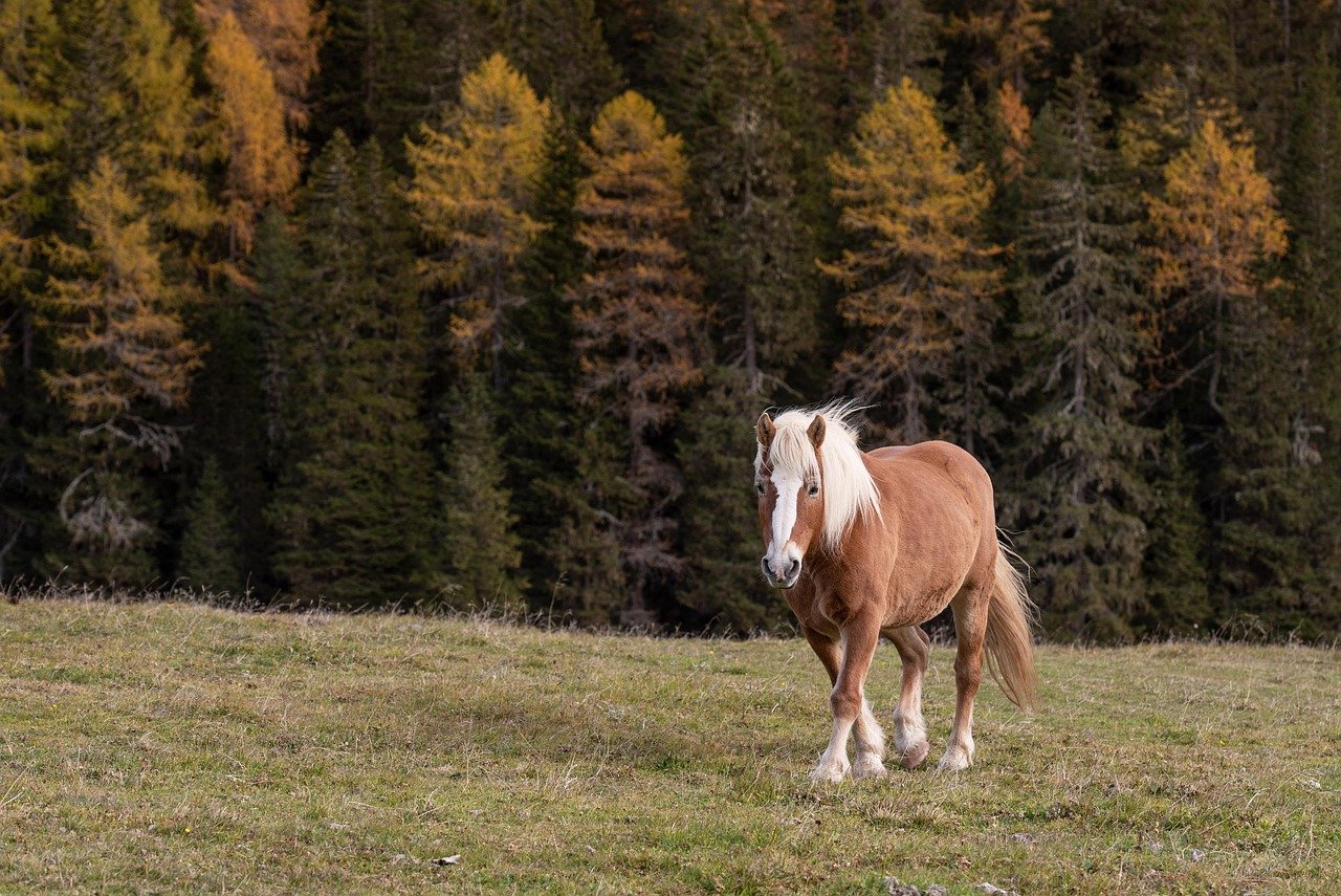 Remove Triggers When Possible (image credits: pixabay)
