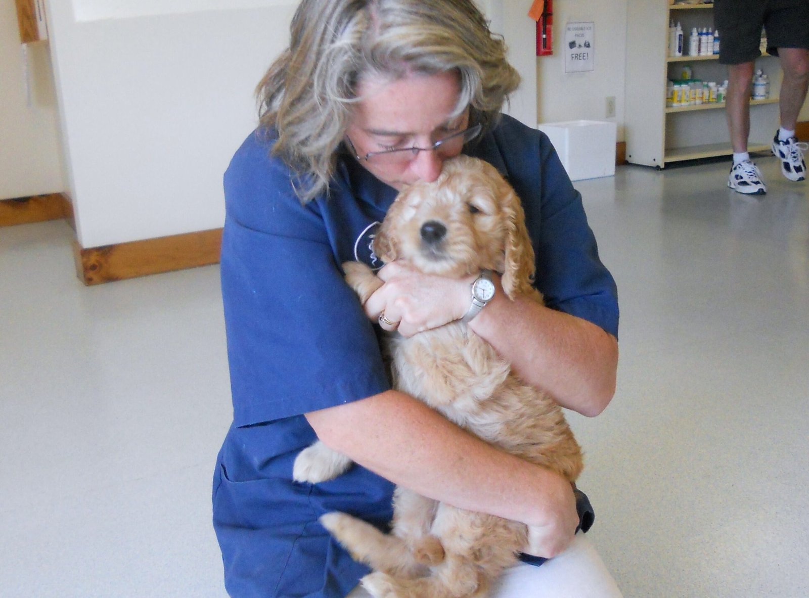 How to Support Your Dog’s Gut Microbiome at Home (image credits: wikimedia)