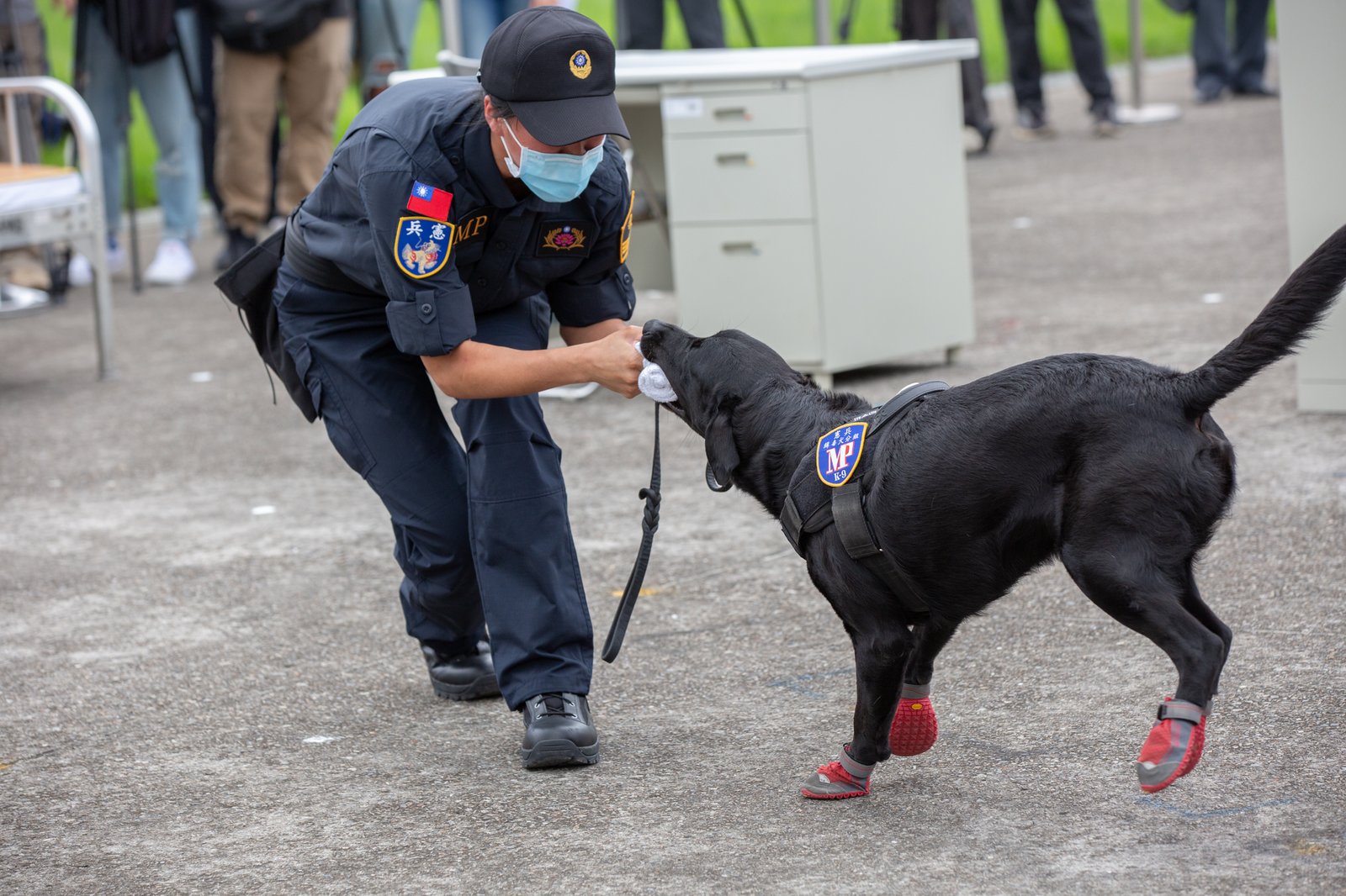 Police Partners: 15 Best Law Enforcement Dogs