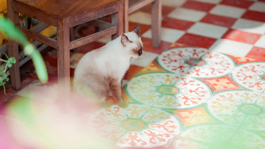 Respecting Boundaries (No Jumping on Tables) (image credits: rawpixel)