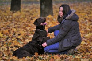 10 Sensitive Dog Breeds Dependent on Constant Company (And 9 Ways to Soothe Their Stress)
