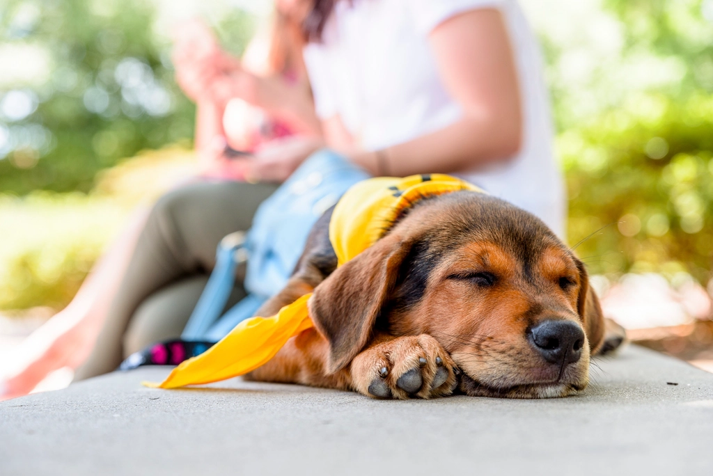 Unpredictable or Rough Handling (image credits: rawpixel)