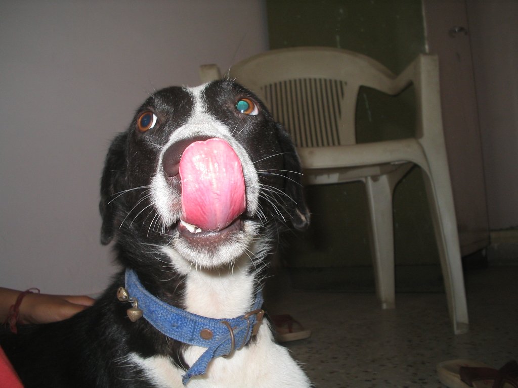 Ignoring Their Body Language (image credits: wikimedia)