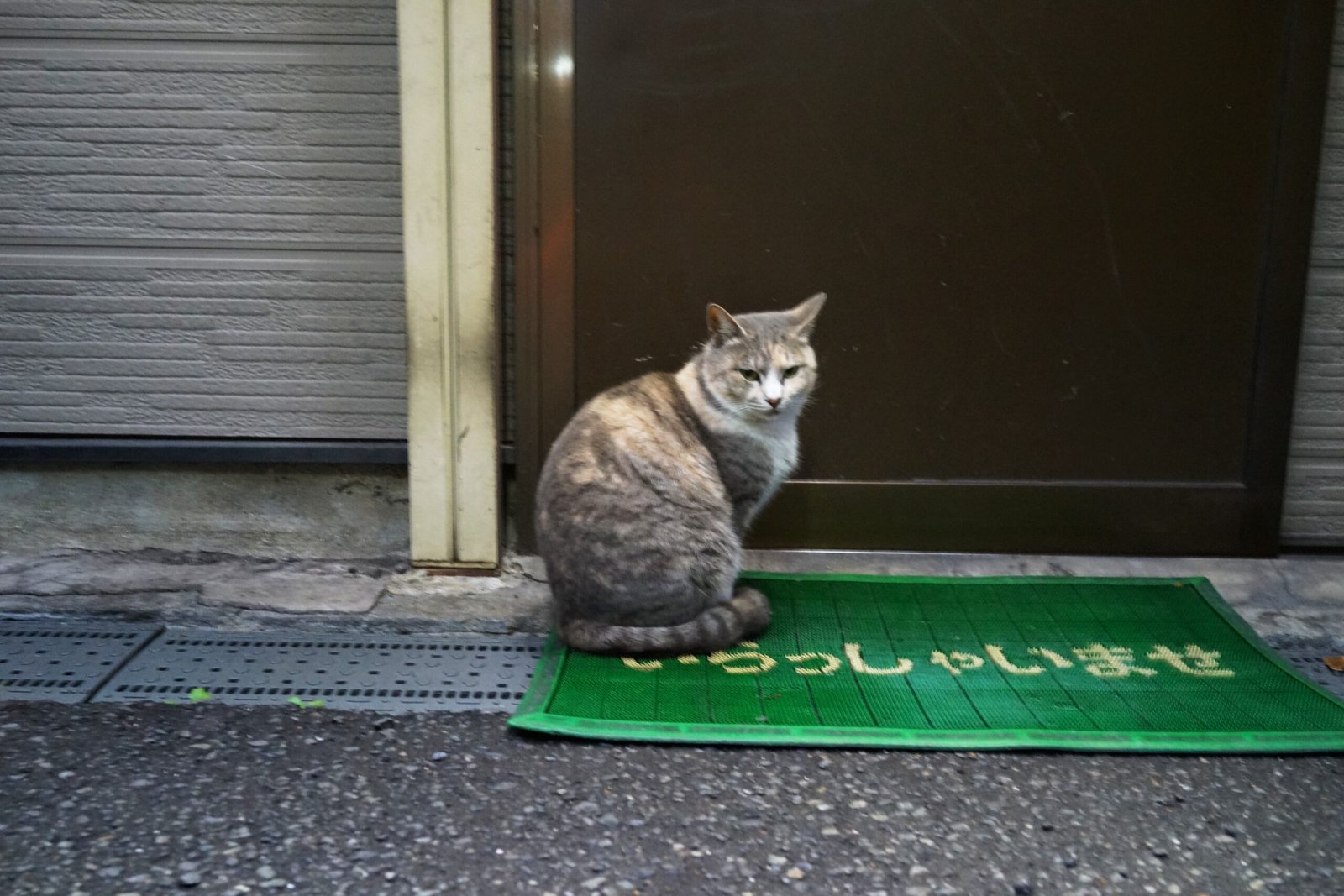They Greet You at the Door (image credits: wikimedia)
