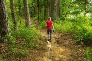 How Dogs Sense Your Emotions: A Senior’s Guide to Deepening the Bond With Your Dog