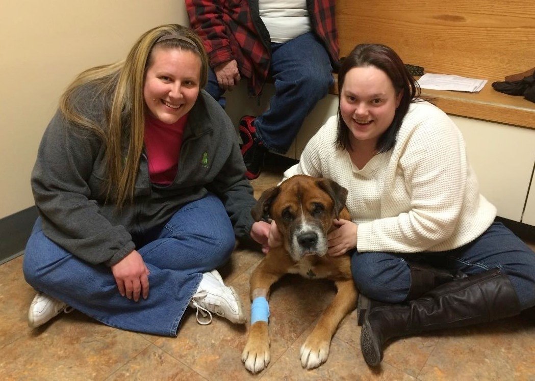 Guarding and Protecting: Becoming Your Watchful Sentinel (image credits: wikimedia)