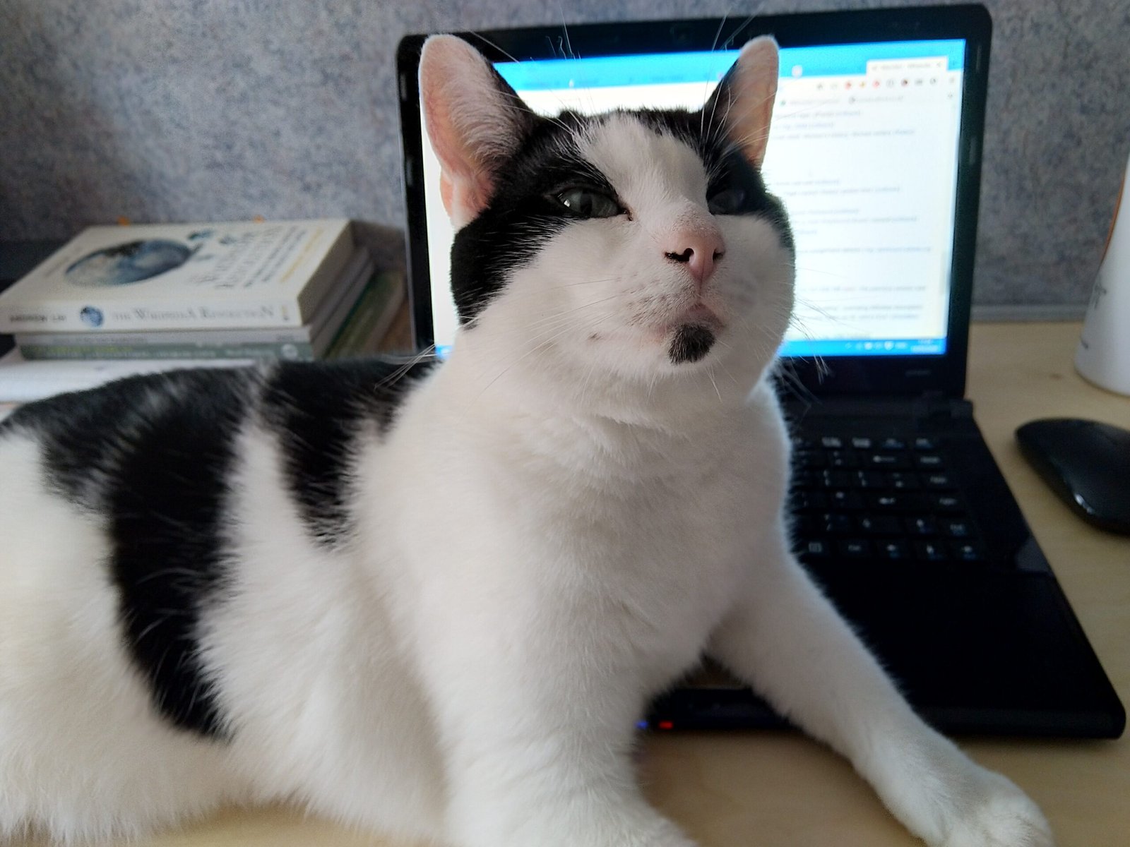 Following You Around the House (image credits: wikimedia)