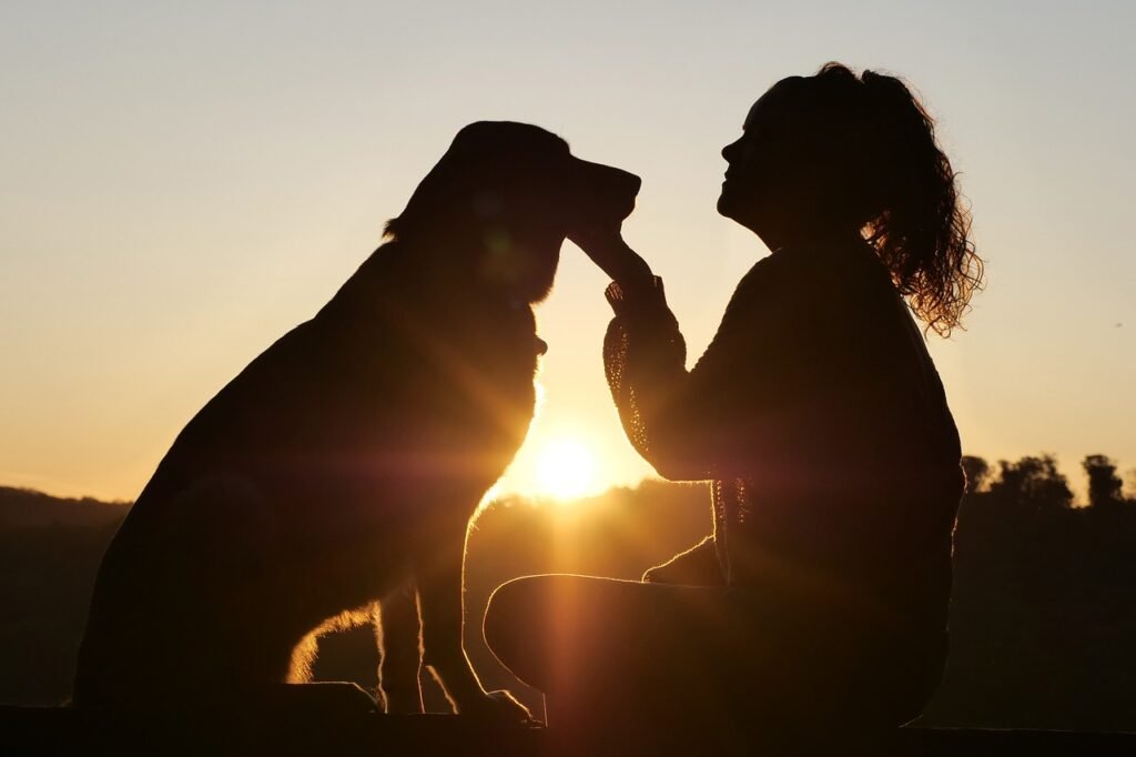 The Heartfelt Bond Between Humans and Dogs